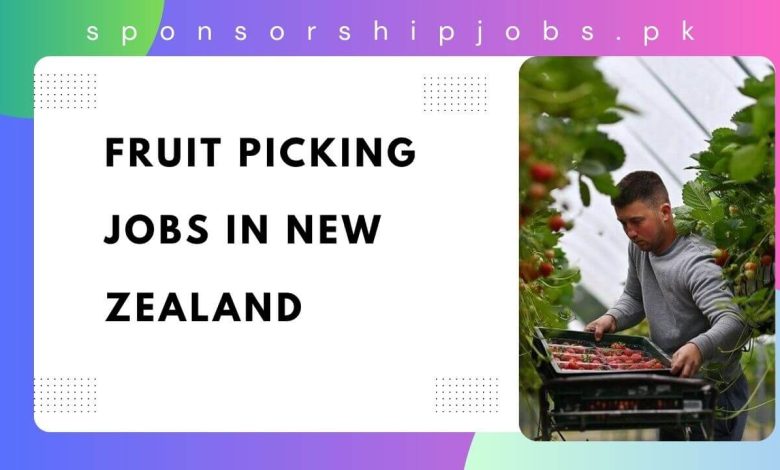 Fruit Picking Jobs in New Zealand