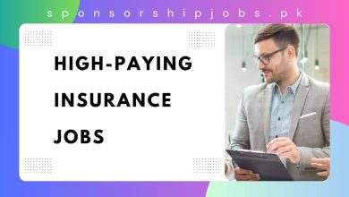 High-Paying Insurance Jobs