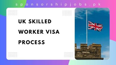 UK Skilled Worker Visa Process