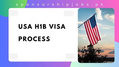 USA H1B Visa Process