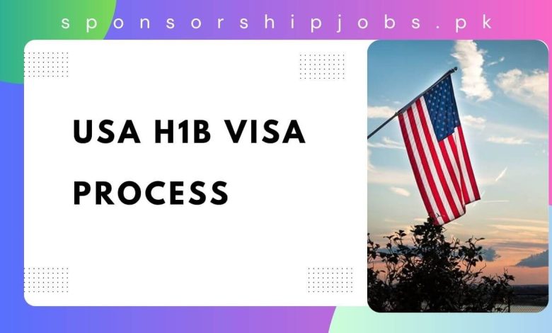 USA H1B Visa Process