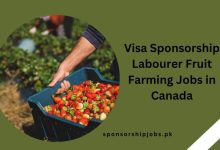 Visa Sponsorship Labourer Fruit Farming Jobs in Canada