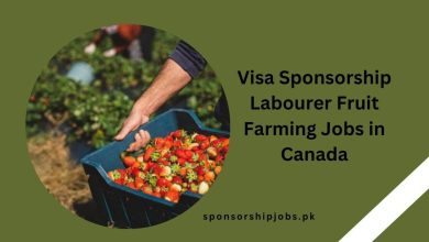 Visa Sponsorship Labourer Fruit Farming Jobs in Canada