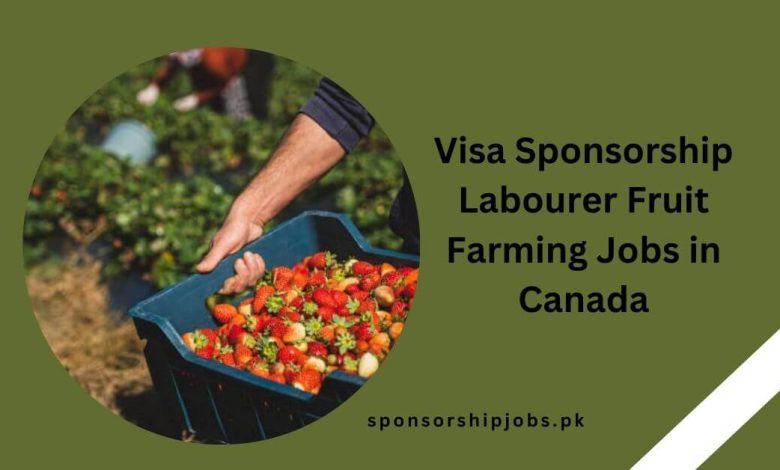 Visa Sponsorship Labourer Fruit Farming Jobs in Canada