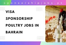 Visa Sponsorship Poultry Jobs in Bahrain