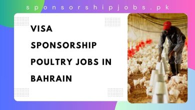 Visa Sponsorship Poultry Jobs in Bahrain