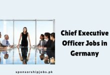 Chief Executive Officer Jobs in Germany