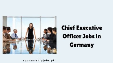 Chief Executive Officer Jobs in Germany