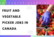 Fruit and Vegetable Picker Jobs in Canada