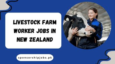 Livestock Farm Worker Jobs in New Zealand