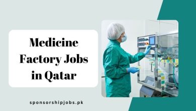 Medicine Factory Jobs in Qatar