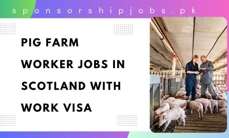 Pig Farm Worker Jobs in Scotland with Work Visa