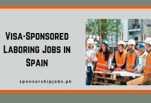 Visa-Sponsored Laboring Jobs in Spain