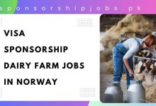 Visa Sponsorship Dairy Farm Jobs in Norway