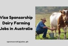 Visa Sponsorship Dairy Farming Jobs in Australia