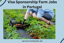 Visa Sponsorship Farm Jobs in Portugal