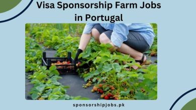 Visa Sponsorship Farm Jobs in Portugal