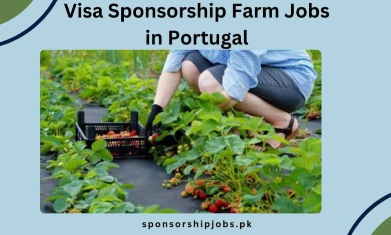 Visa Sponsorship Farm Jobs in Portugal