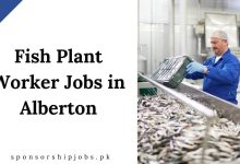 Fish Plant Worker Jobs in Alberton