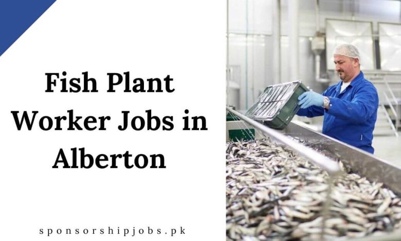 Fish Plant Worker Jobs in Alberton