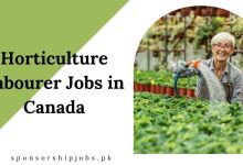 Horticulture Labourer Jobs in Canada