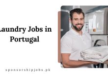 Laundry Jobs in Portugal