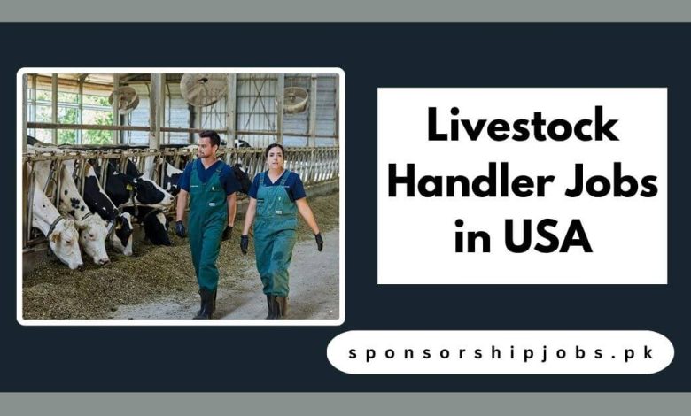 Livestock Handler Jobs in USA