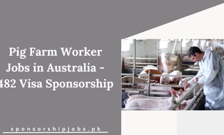 Pig Farm Worker Jobs in Australia - 482 Visa Sponsorship