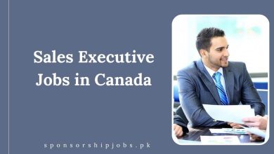 Sales Executive Jobs in Canada