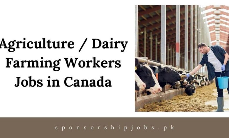 Agriculture / Dairy Farming Workers Jobs in Canada