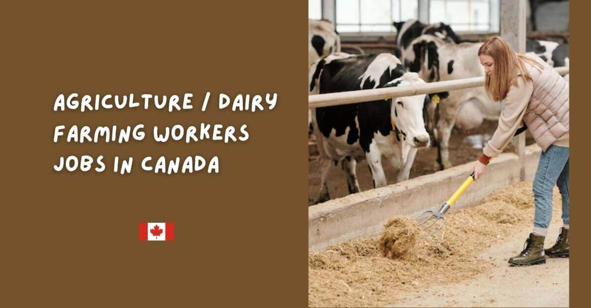 Agriculture Dairy Farming Workers Jobs in Canada