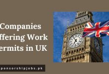 Companies Offering Work Permits in UK