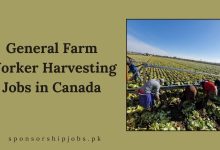 General Farm Worker Harvesting Jobs in Canada