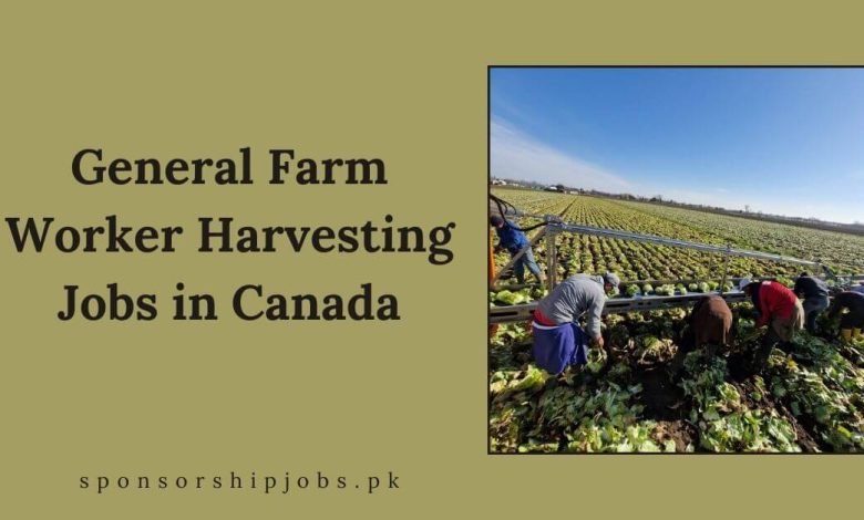 General Farm Worker Harvesting Jobs in Canada