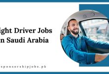 Light Driver Jobs in Saudi Arabia