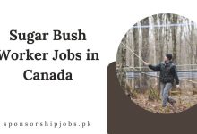 Sugar Bush Worker Jobs in Canada