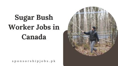 Sugar Bush Worker Jobs in Canada