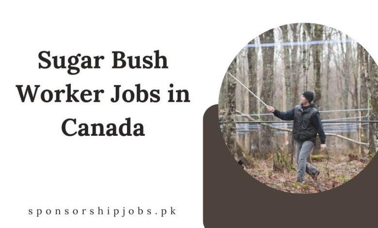 Sugar Bush Worker Jobs in Canada