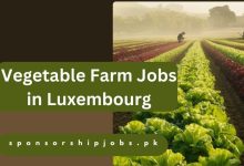 Vegetable Farm Jobs in Luxembourg