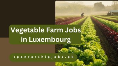 Vegetable Farm Jobs in Luxembourg