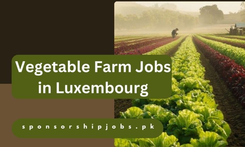 Vegetable Farm Jobs in Luxembourg