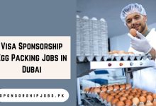 Visa Sponsorship Egg Packing Jobs in Dubai