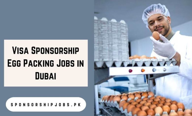 Visa Sponsorship Egg Packing Jobs in Dubai