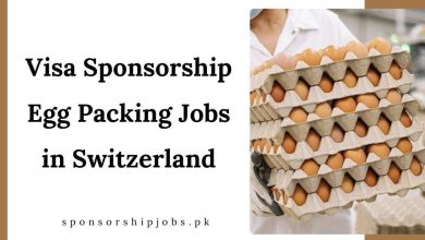 Visa Sponsorship Egg Packing Jobs in Switzerland