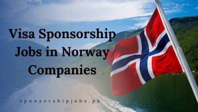 Visa Sponsorship Jobs in Norway Companies