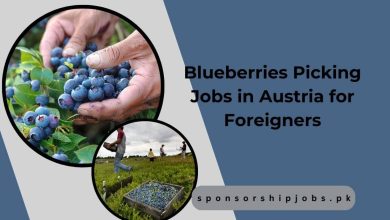 Blueberries Picking Jobs in Austria for Foreigners