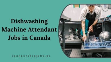 Dishwashing Machine Attendant Jobs in Canada