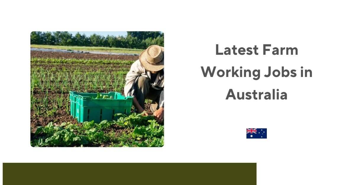 Latest Farm Working Jobs in Australia