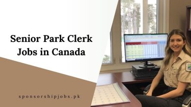 Senior Park Clerk Jobs in Canada