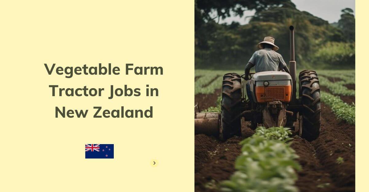 Vegetable Farm Tractor Jobs in New Zealand